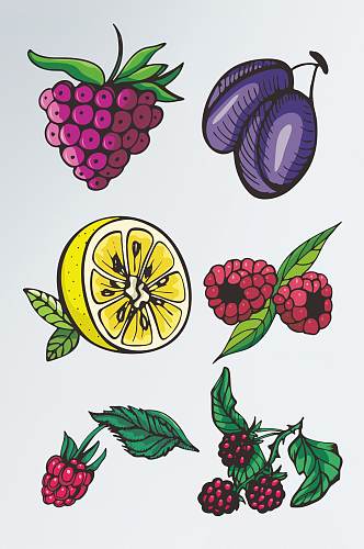 食物葡萄覆盆子柠檬树莓浆果