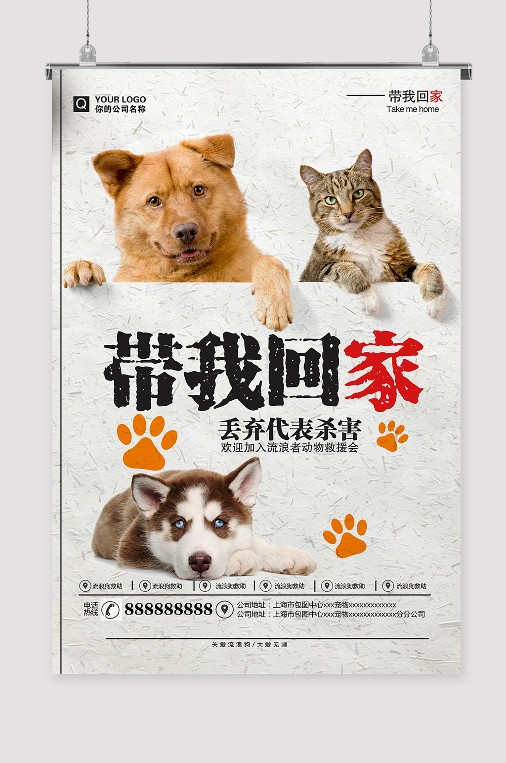 动物公益宠物推广海报