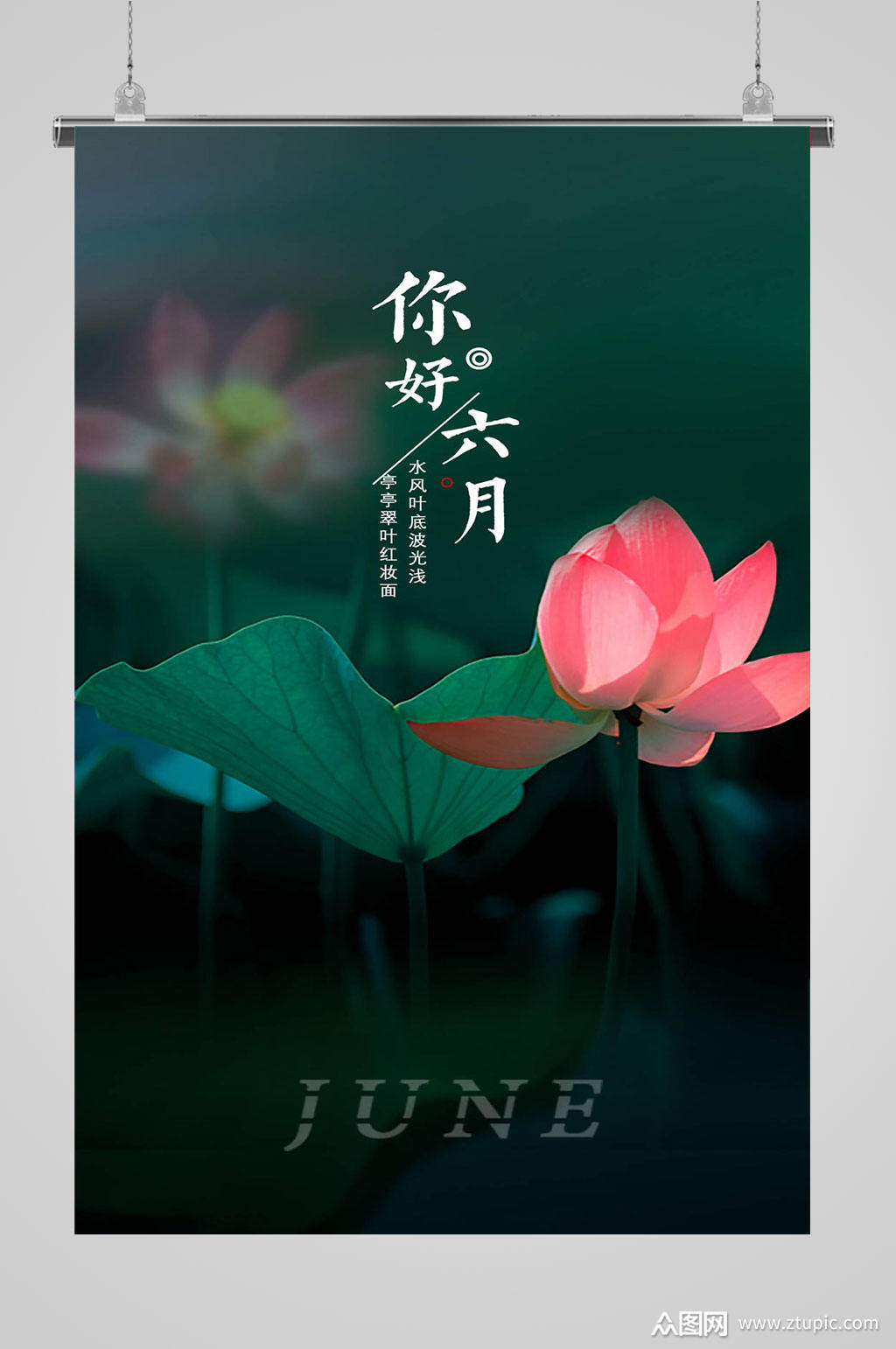 你好六月荷花海报