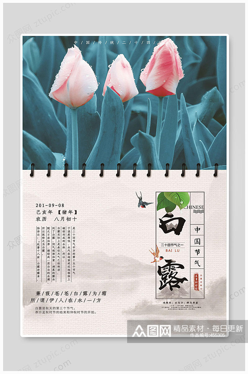 白露节气二十四节气素材