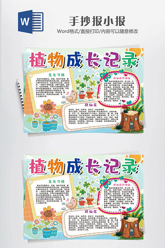 植物生长小报日记