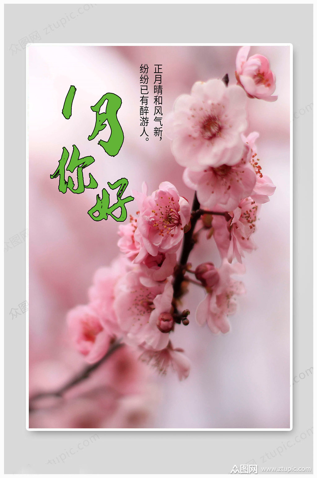 一月你好清新图片