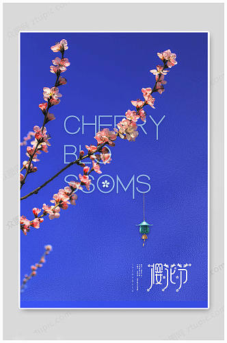 踏青季蓝色樱花节海报