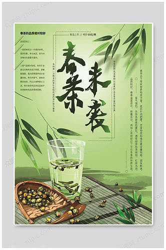 春茶上市春茶尝鲜