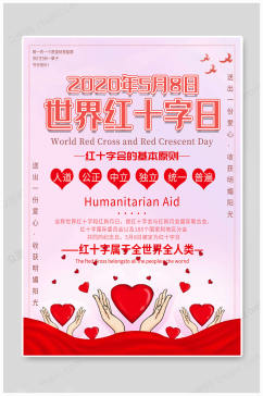 世界红十字日人类