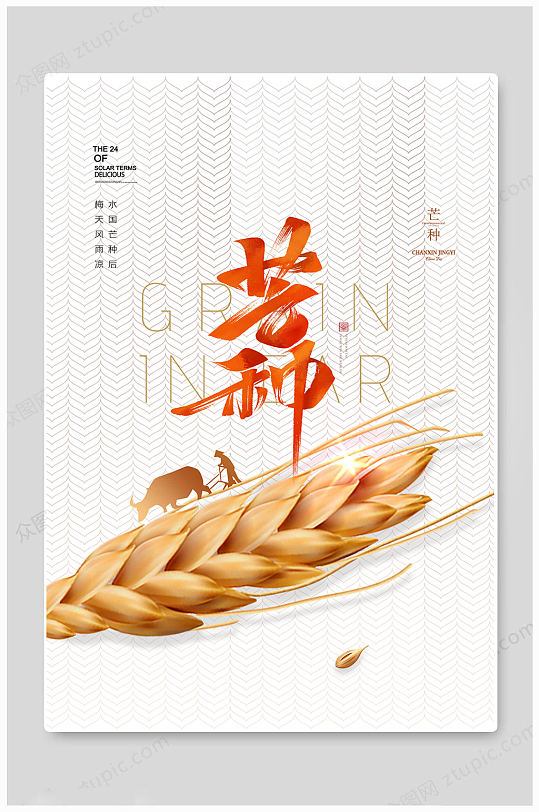 中国风24节气芒种海报
