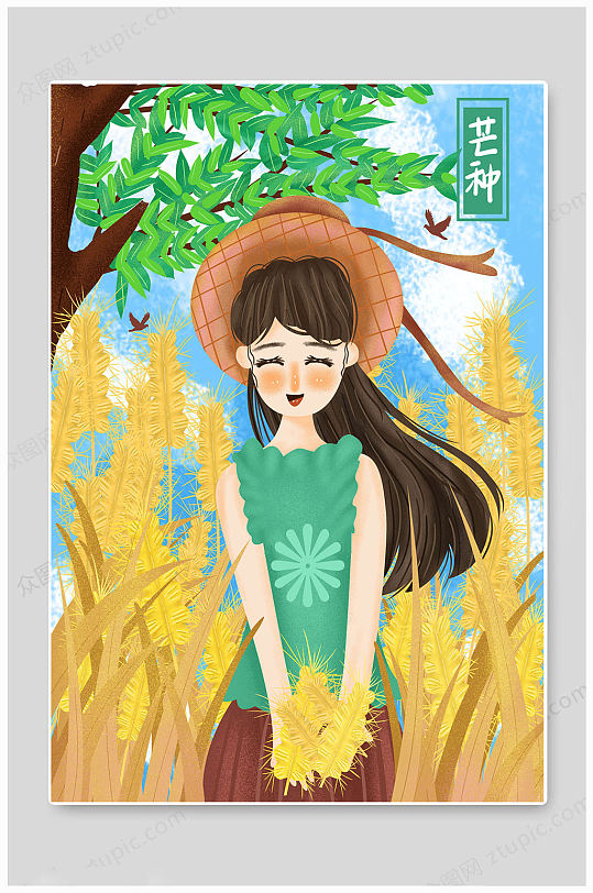 手绘大气芒种节气插画