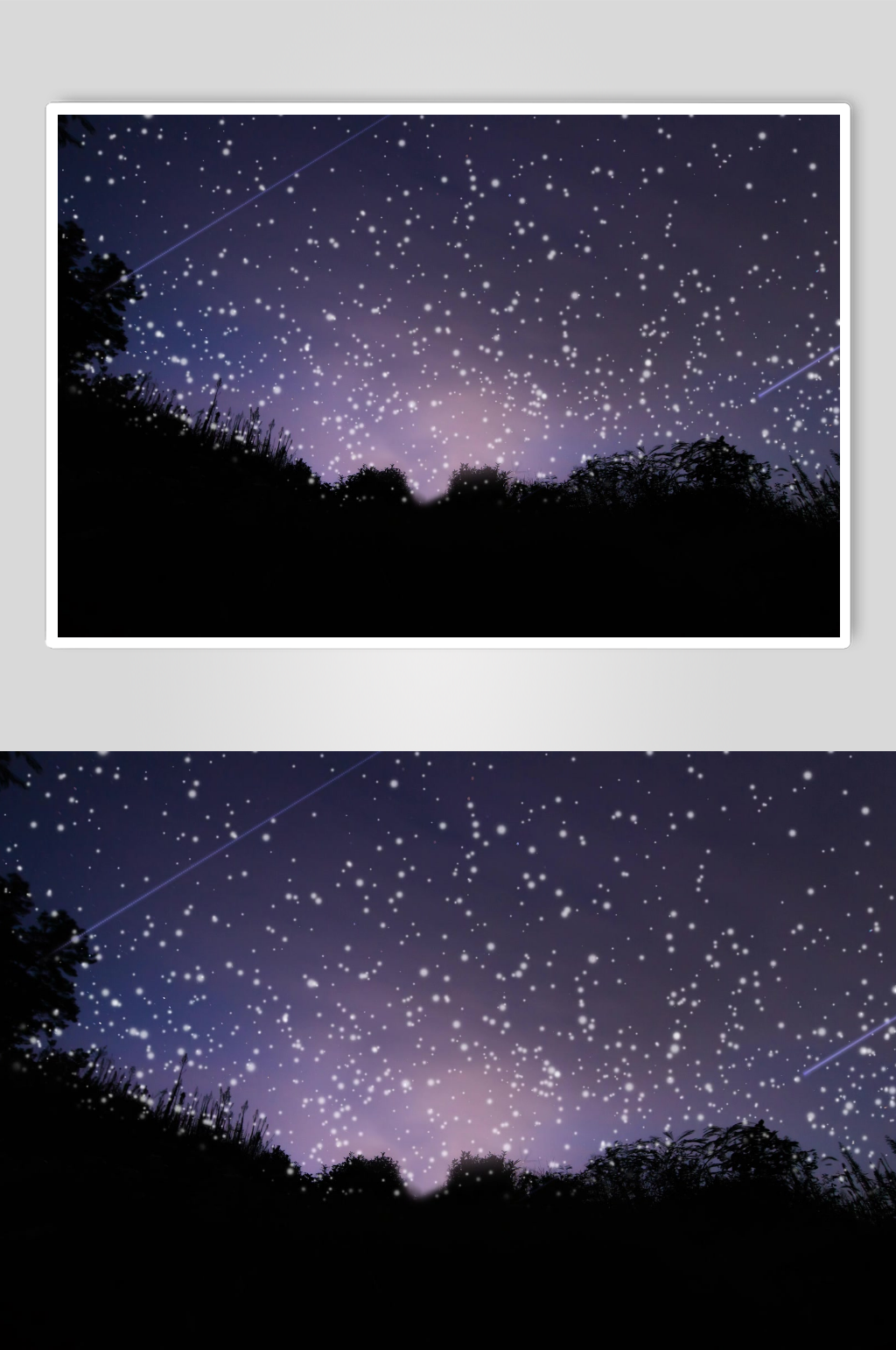 夜空繁星下的静谧树林素材