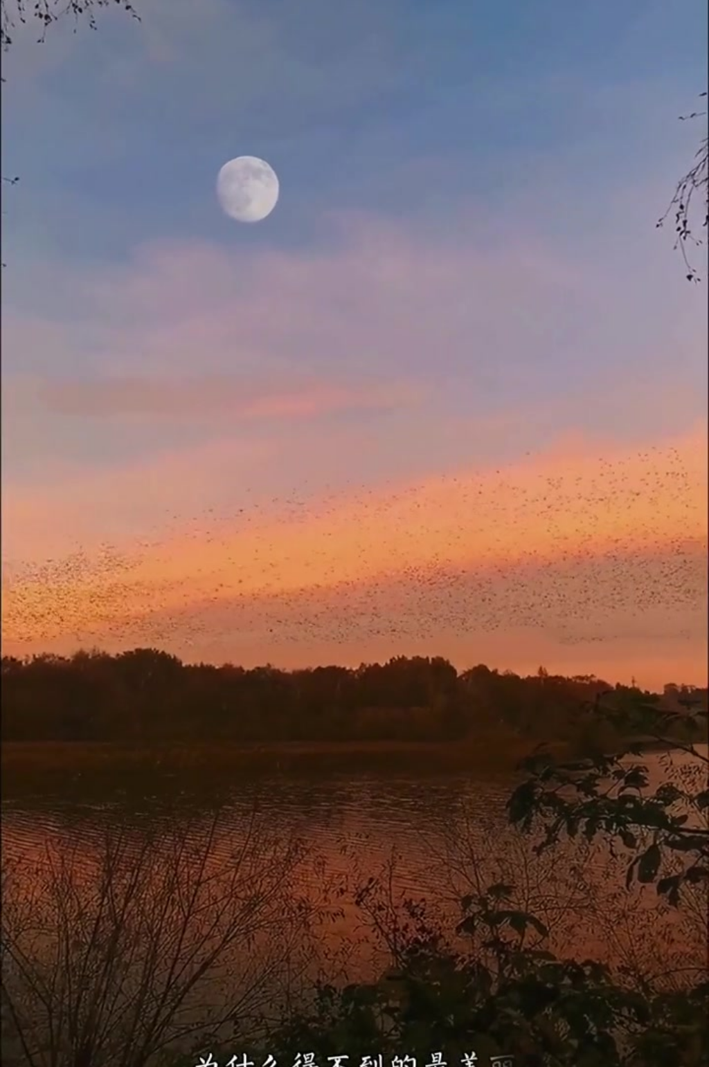 唯美夕阳晚霞彩云景观素材素材