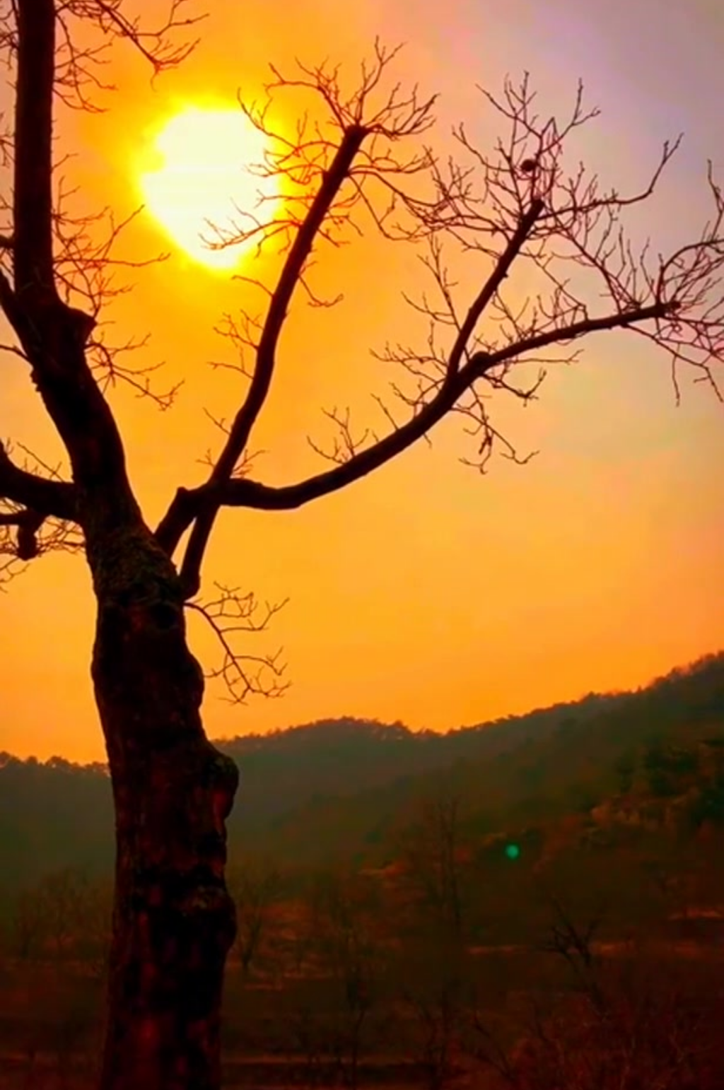 唯美夕阳晚霞彩云景观素材素材