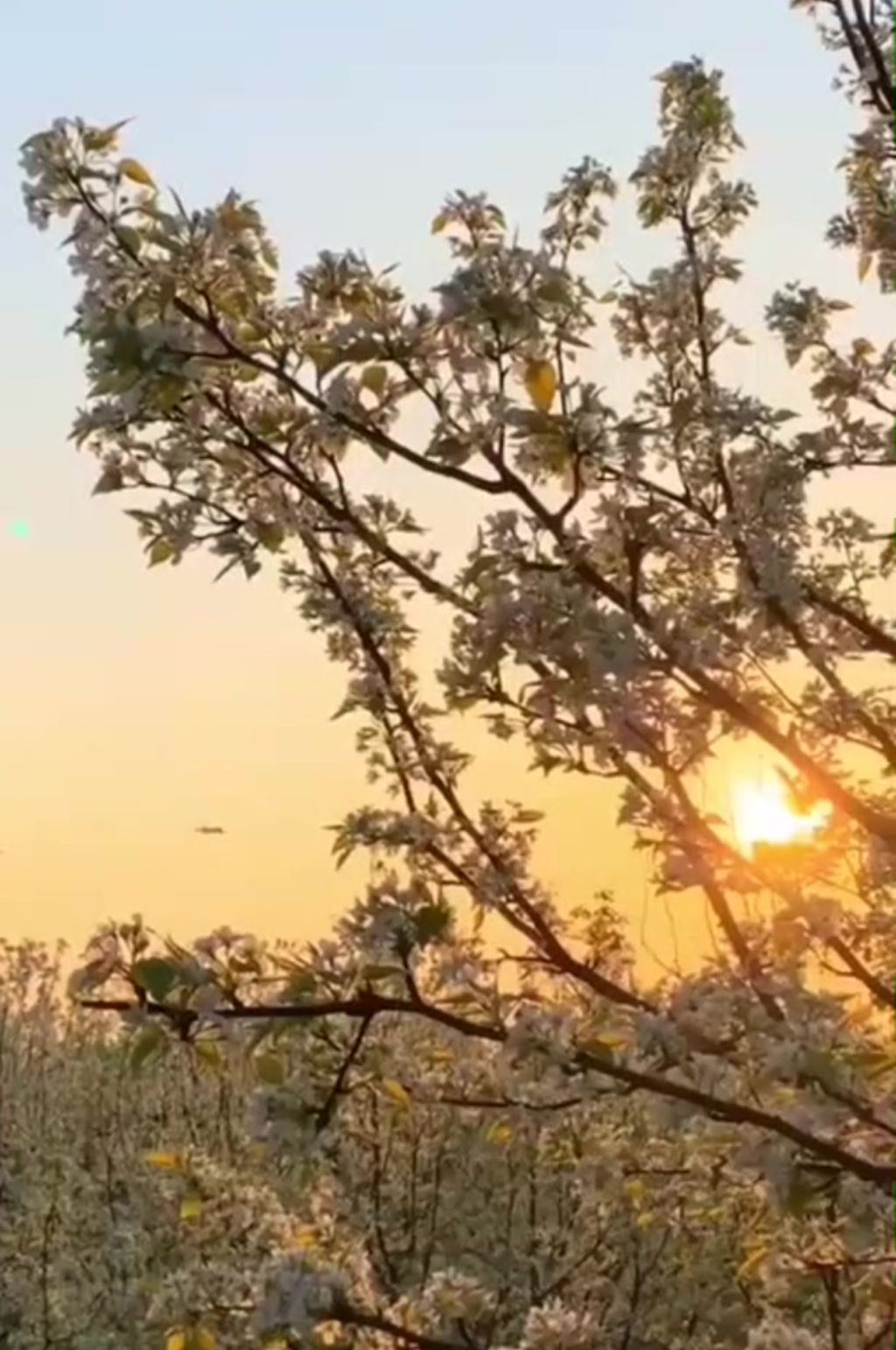唯美夕阳晚霞彩云景观素材素材