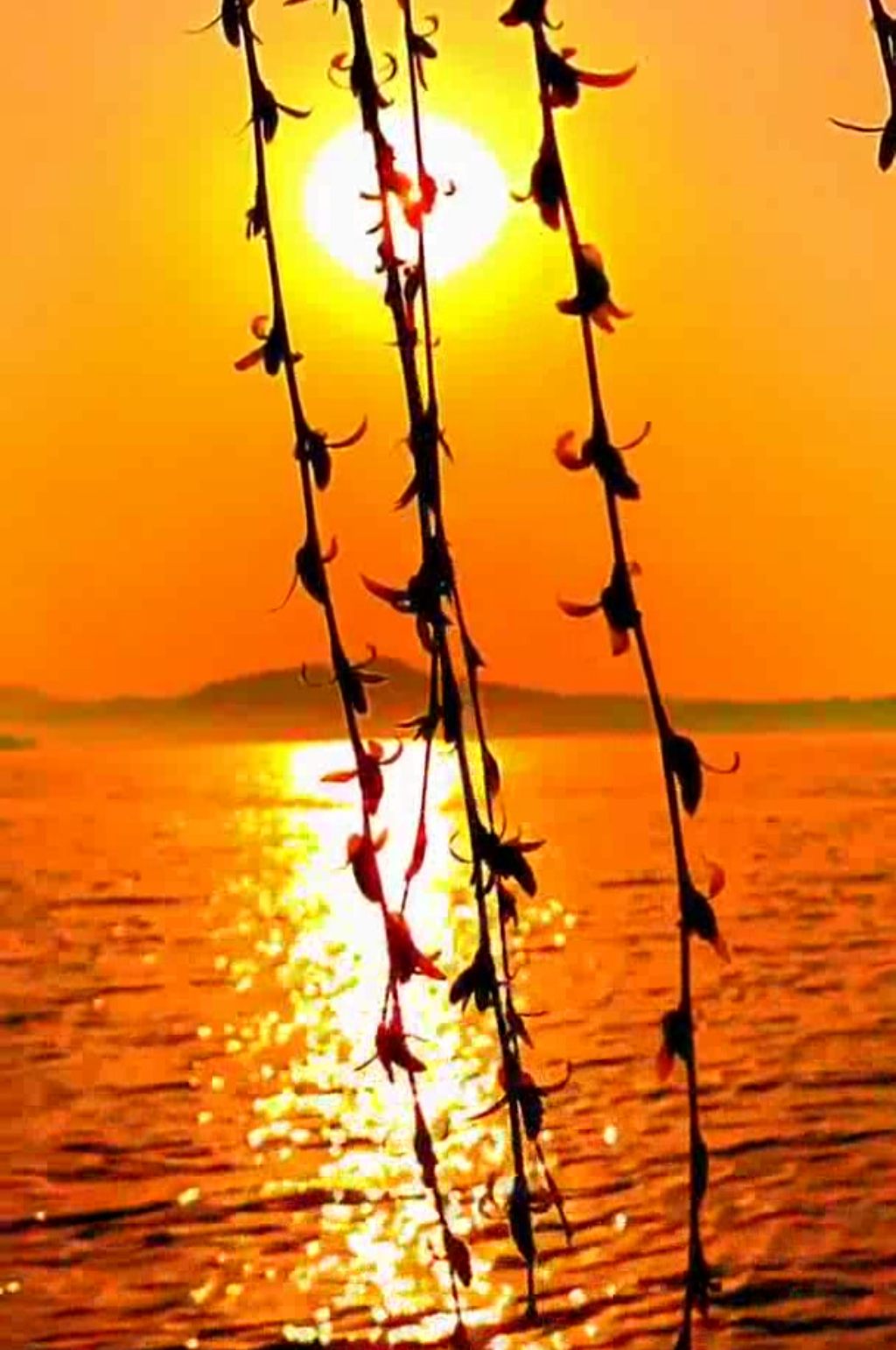 唯美夕阳晚霞彩云景观素材素材