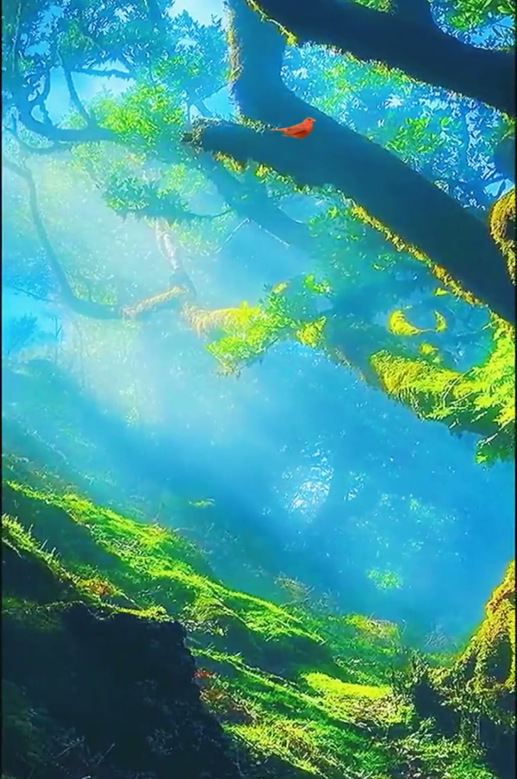 山水自然风景视频素材素材