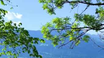 瑞士乡村风景素材视频-众图网