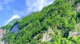 瑞士乡村风景素材视频-众图网