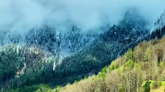 瑞士乡村风景素材视频-众图网
