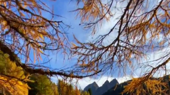 瑞士乡村风景素材视频-众图网