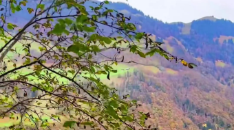 瑞士乡村风景素材视频-众图网