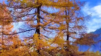 瑞士乡村风景素材视频-众图网