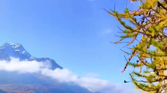 瑞士乡村风景素材视频-众图网