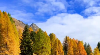 瑞士乡村风景素材视频-众图网