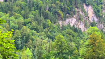 瑞士乡村风景素材视频-众图网