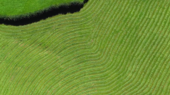 瑞士乡村风景素材视频-众图网