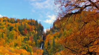 瑞士乡村风景素材视频-众图网