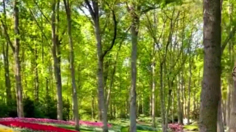 瑞士乡村风景素材视频-众图网