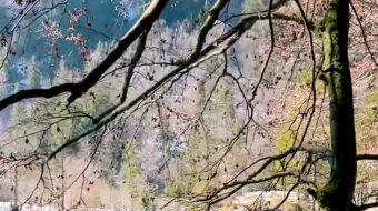 瑞士乡村风景素材视频-众图网