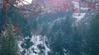 瑞士乡村风景素材视频-众图网