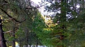 瑞士乡村风景素材视频-众图网