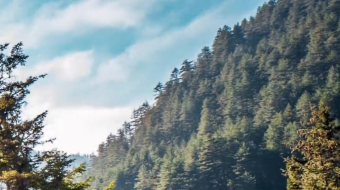 瀑布山水溪流风景素材-众图网