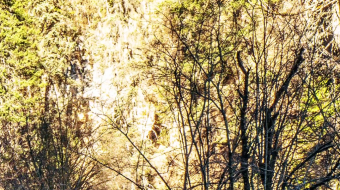 瀑布山水溪流风景素材-众图网