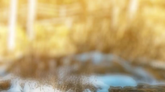 瀑布山水溪流风景素材-众图网