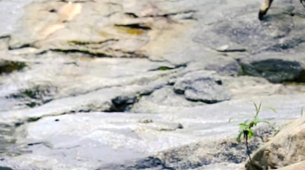 瀑布山水溪流风景素材-众图网