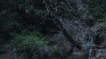 瀑布山水溪流风景素材-众图网