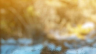 瀑布山水溪流风景素材-众图网