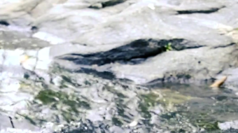 瀑布山水溪流风景素材-众图网