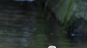 瀑布山水溪流风景素材-众图网