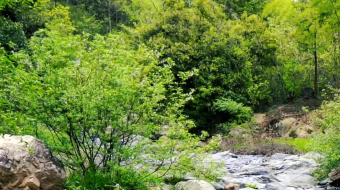 瀑布山水溪流风景素材-众图网