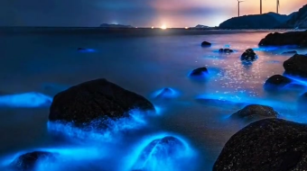 瀑布山水溪流风景素材-众图网