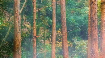 瀑布山水溪流风景素材-众图网