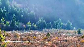 瀑布山水溪流风景素材-众图网