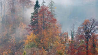 瀑布山水溪流风景素材-众图网