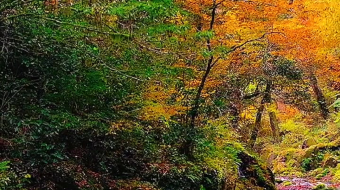 瀑布山水溪流风景素材-众图网