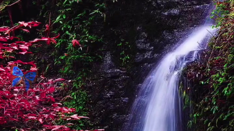 瀑布山水溪流风景素材-众图网