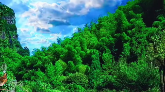 瀑布山水溪流风景素材-众图网