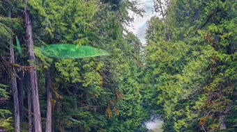 瀑布山水溪流风景素材-众图网