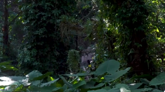 瀑布山水溪流风景素材-众图网